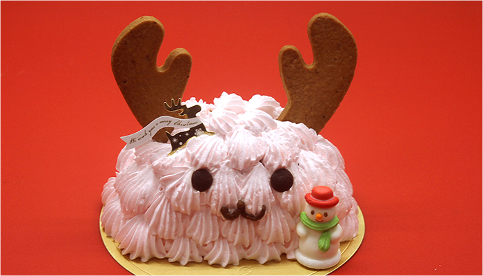 犬用クリスマスケーキ